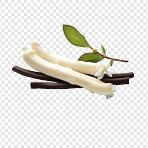 Vanilla Bean Fragrance Oil