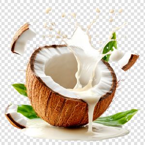 Creamy Coconut Dream Fragrance Oil